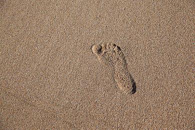 《铁拳8》媒体评分解禁 M站均分90